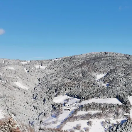 Alpengasthof Fernblick Gasthof *