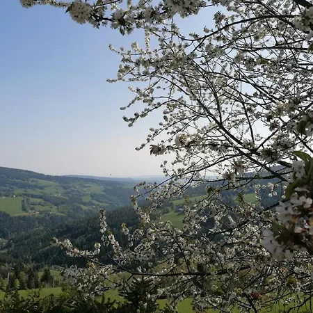 Alpengasthof Fernblick * Mönichkirchen