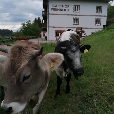 Mini-hôtel Alpengasthof Fernblick Mönichkirchen