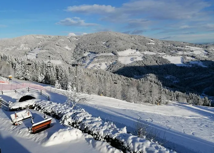 Inn Alpengasthof Fernblick