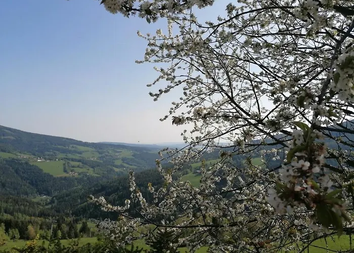 Alpengasthof Fernblick * Moenichkirchen