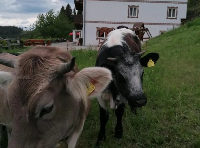 Inn Alpengasthof Fernblick Moenichkirchen