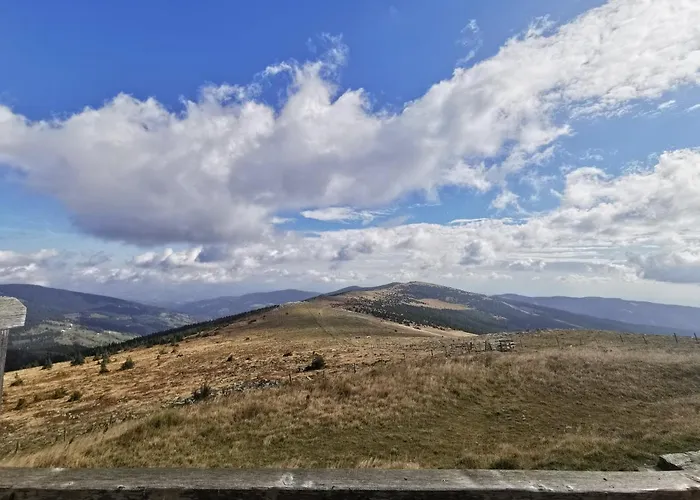 Alpengasthof Fernblick * Mönichkirchen